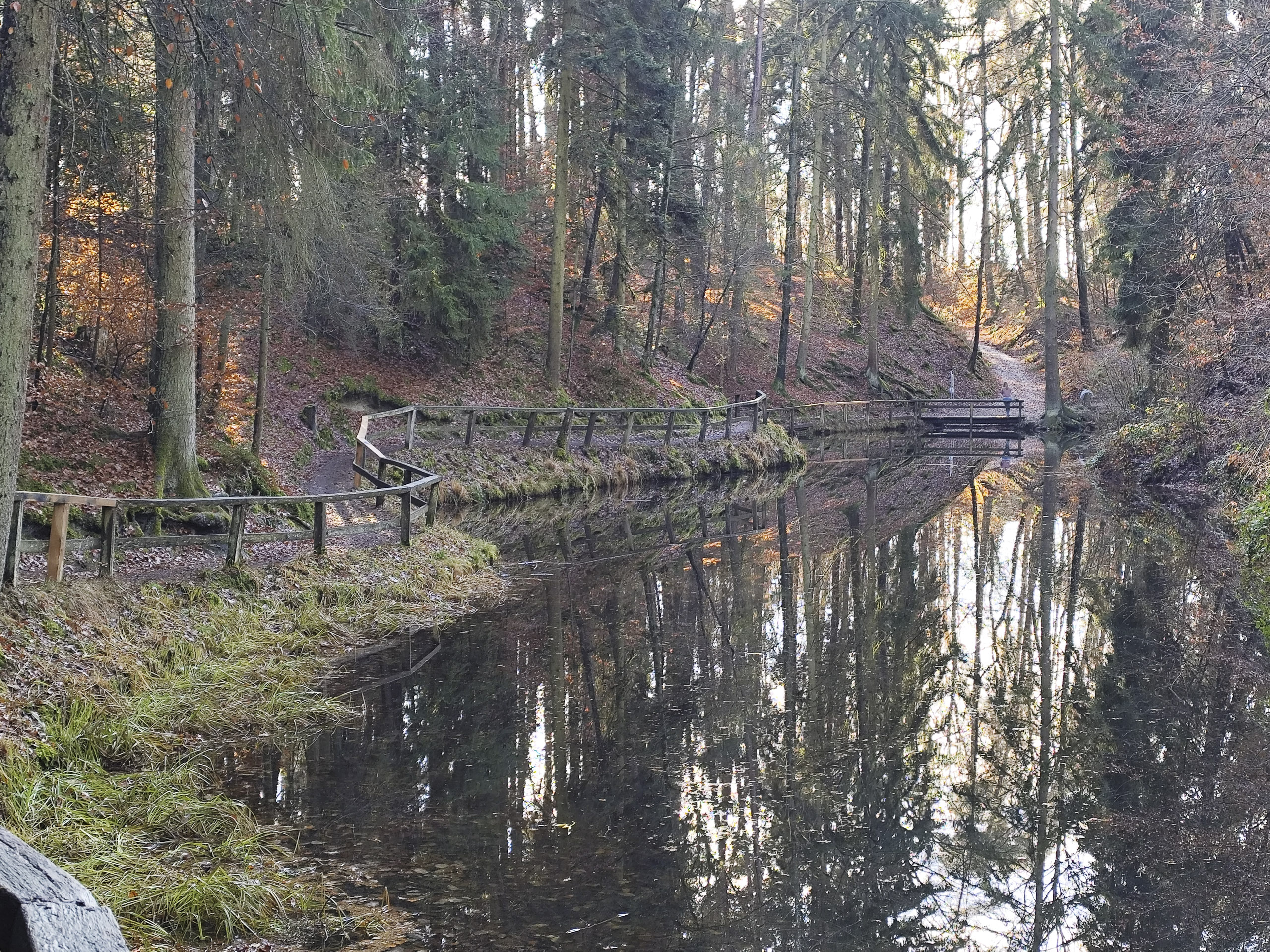 20251129120837 IMG 20251129 120837